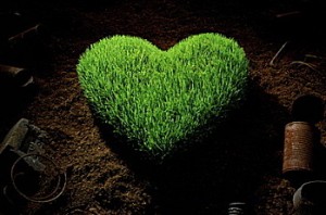 green-heart-1_l6e1